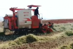 收割机视频,收割机高效作业现场直击